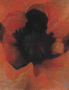 Mohn